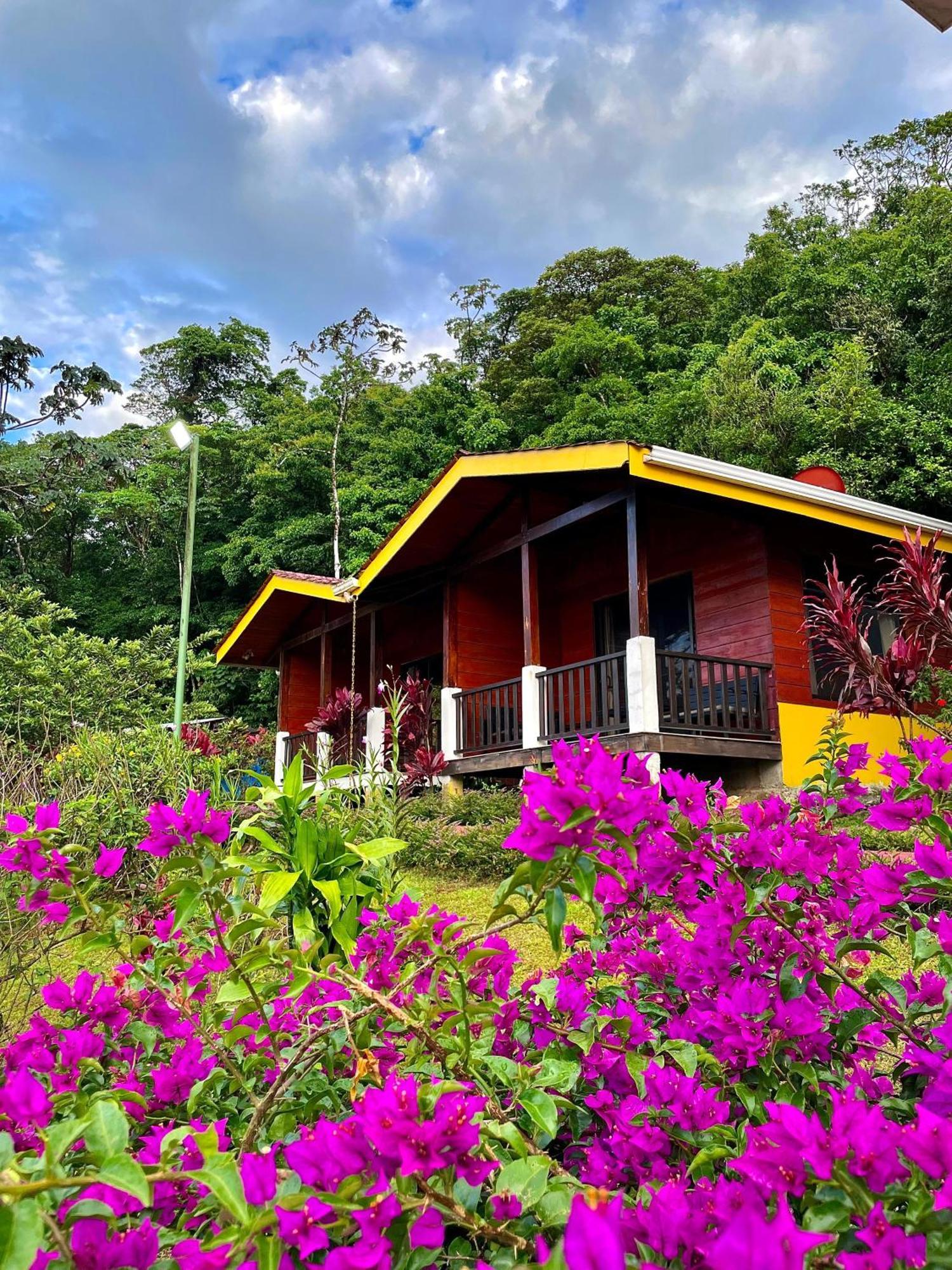 Heliconias Rainforest Lodge Бихагуа Экстерьер фото