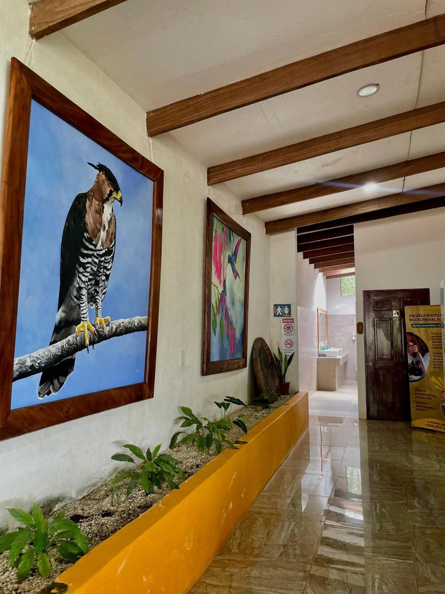 Heliconias Rainforest Lodge Бихагуа Экстерьер фото