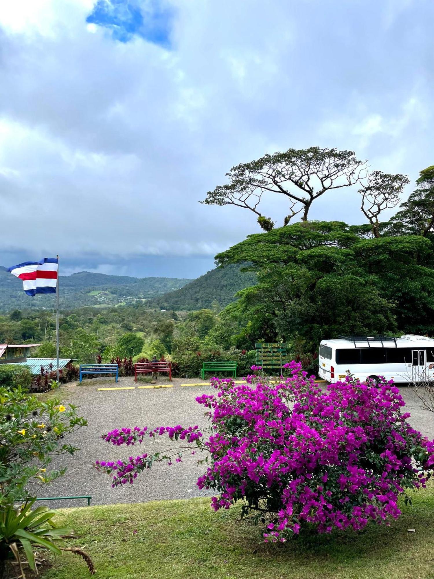 Heliconias Rainforest Lodge Бихагуа Экстерьер фото