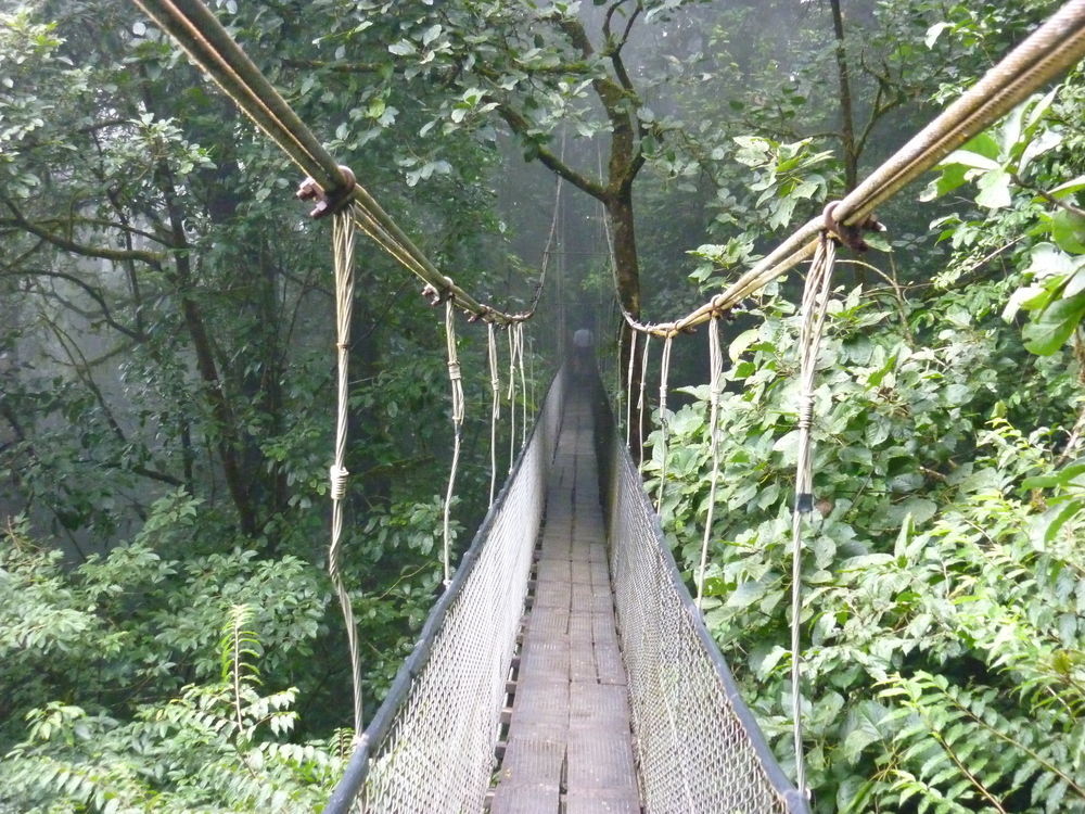 Heliconias Rainforest Lodge Бихагуа Экстерьер фото
